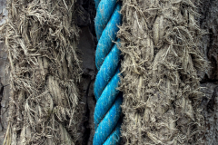 Seil-Kord-u-Nylon-1527144_1920